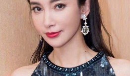 鲍蕾整容爆料视频大全最新,视频大全深度解析