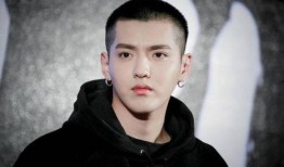 娱乐圈八卦爆料最新肖战,娱乐圈再掀波澜