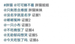 肥猫事件最新爆料,最新爆料揭露惊人内幕